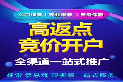 竞价推广的投放时机与频率：经典案例教学